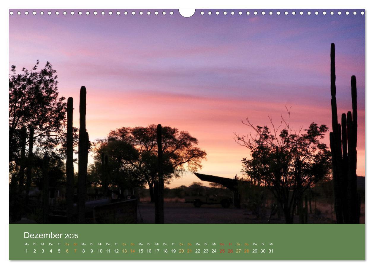 Bild: 9783383931123 | Roadtrip in Namibia (Wandkalender 2025 DIN A3 quer), CALVENDO...