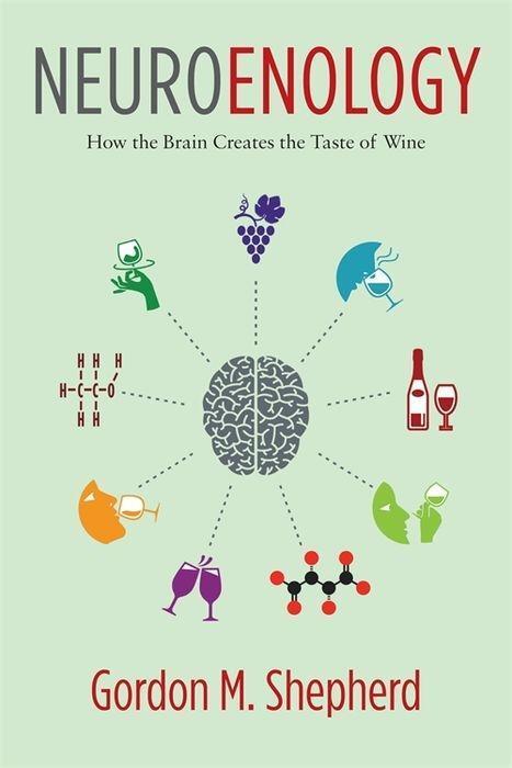 Cover: 9780231177009 | Neuroenology: How the Brain Creates the Taste of Wine | Shepherd