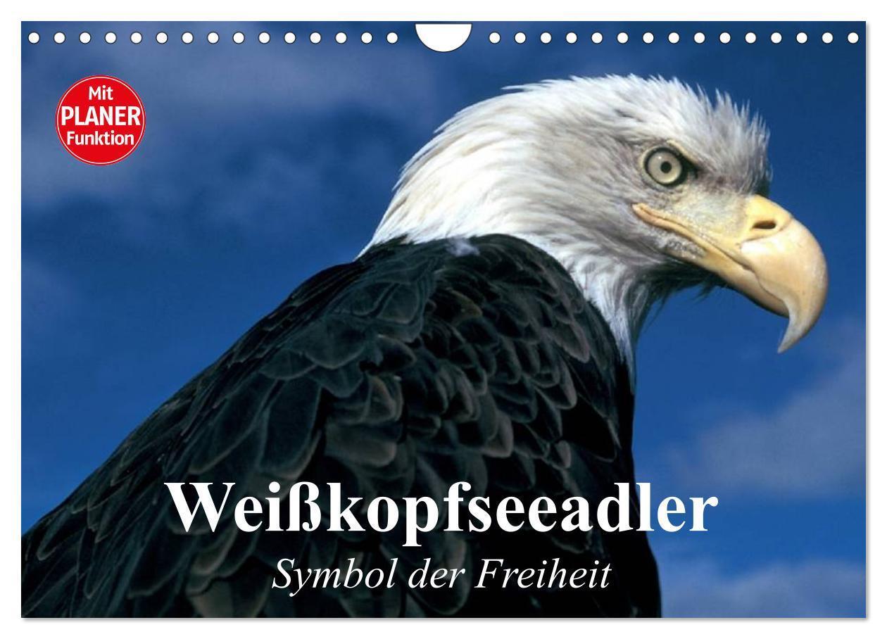 Cover: 9783383293450 | Weißkopfseeadler. Symbol der Freiheit (Wandkalender 2024 DIN A4...