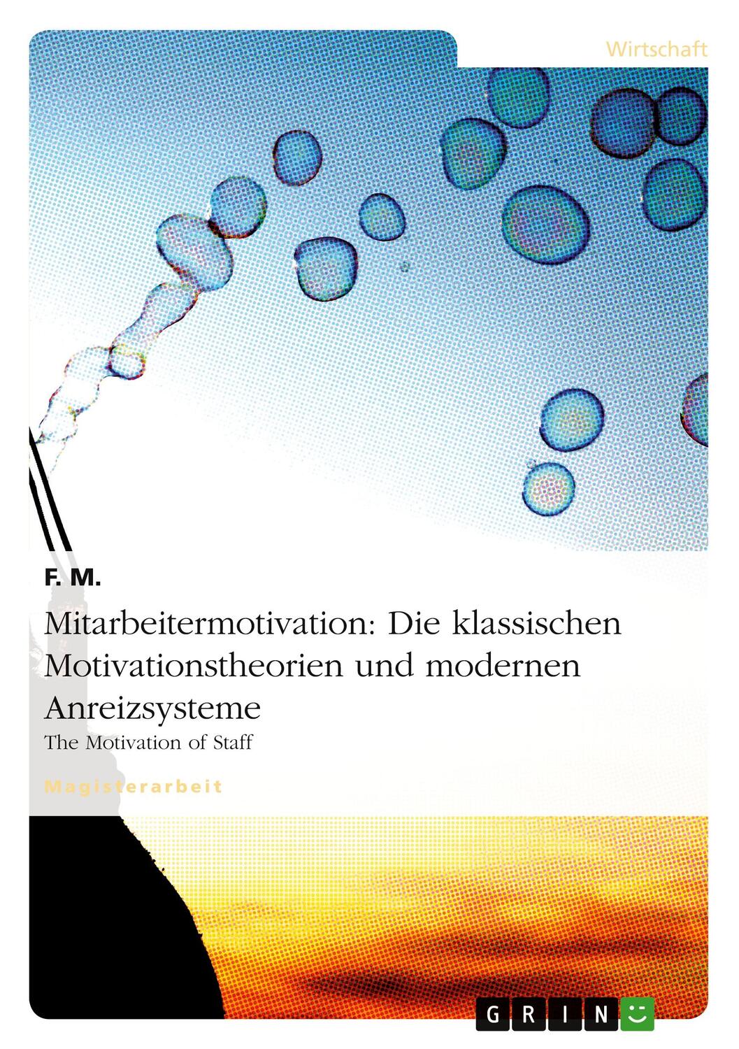 Cover: 9783640349920 | Mitarbeitermotivation: Die klassischen Motivationstheorien und...