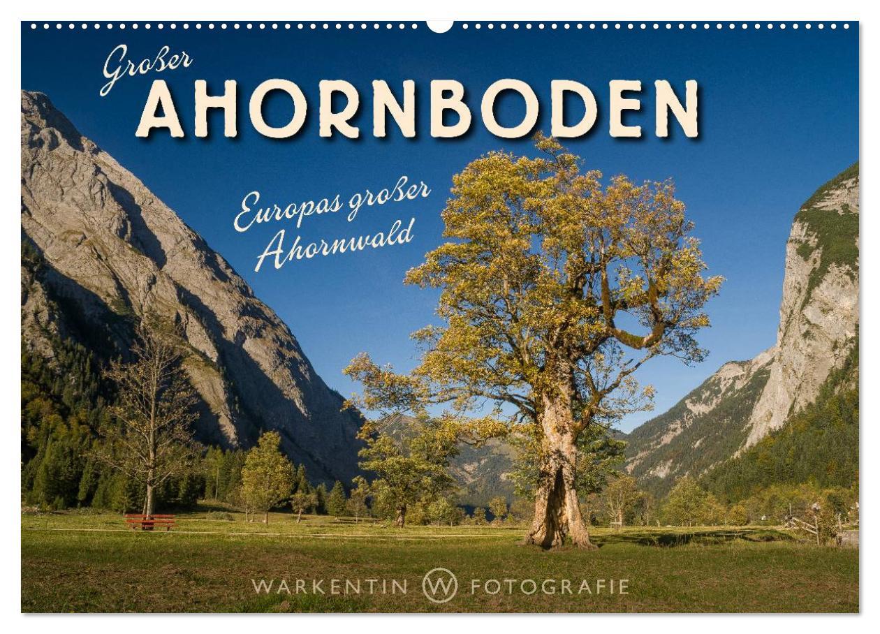 Cover: 9783435613977 | Großer Ahornboden - Europas großer Ahornwald (Wandkalender 2025 DIN...