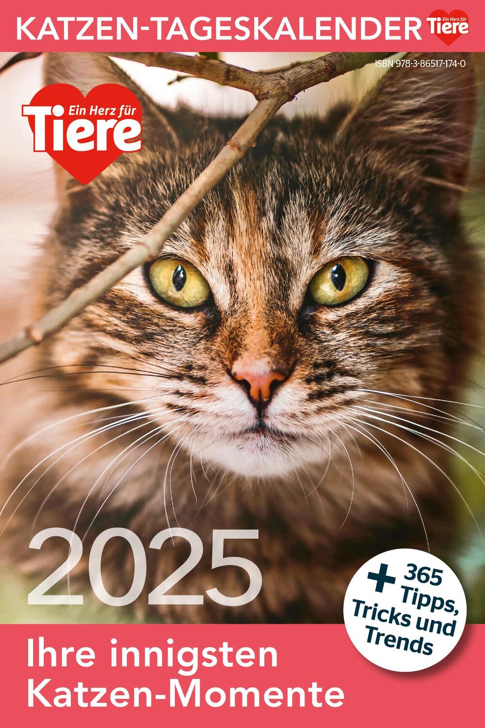 Cover: 9783865171740 | Katzen Tageskalender 2025 | Kalender | Ein Herz fuer Tiere | 365 S.