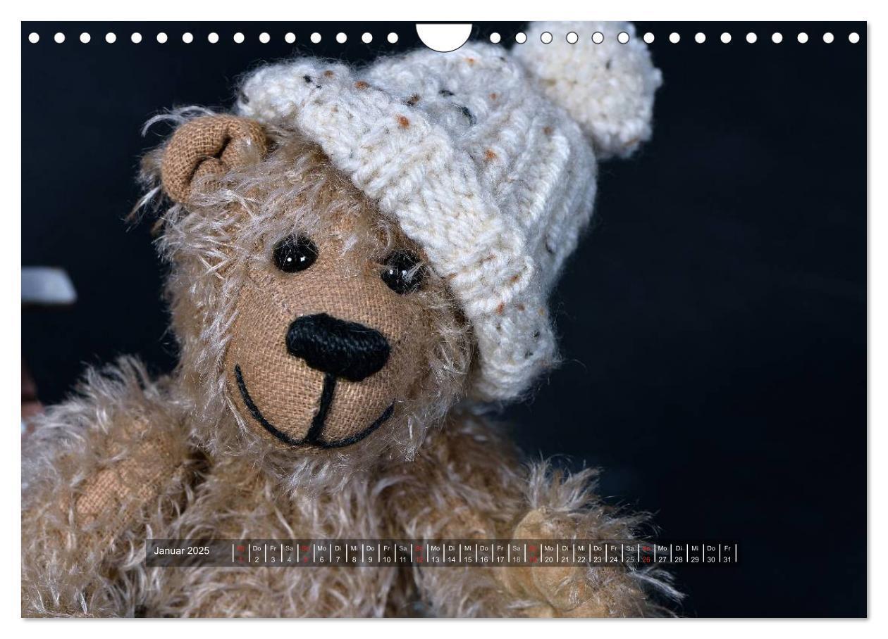 Bild: 9783435627592 | Die Teddys sind los (Wandkalender 2025 DIN A4 quer), CALVENDO...