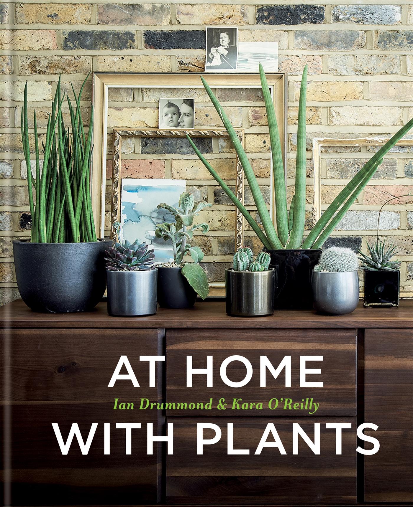 Cover: 9781784721947 | At Home with Plants | Transform Your Home with Plants | Buch | 2017