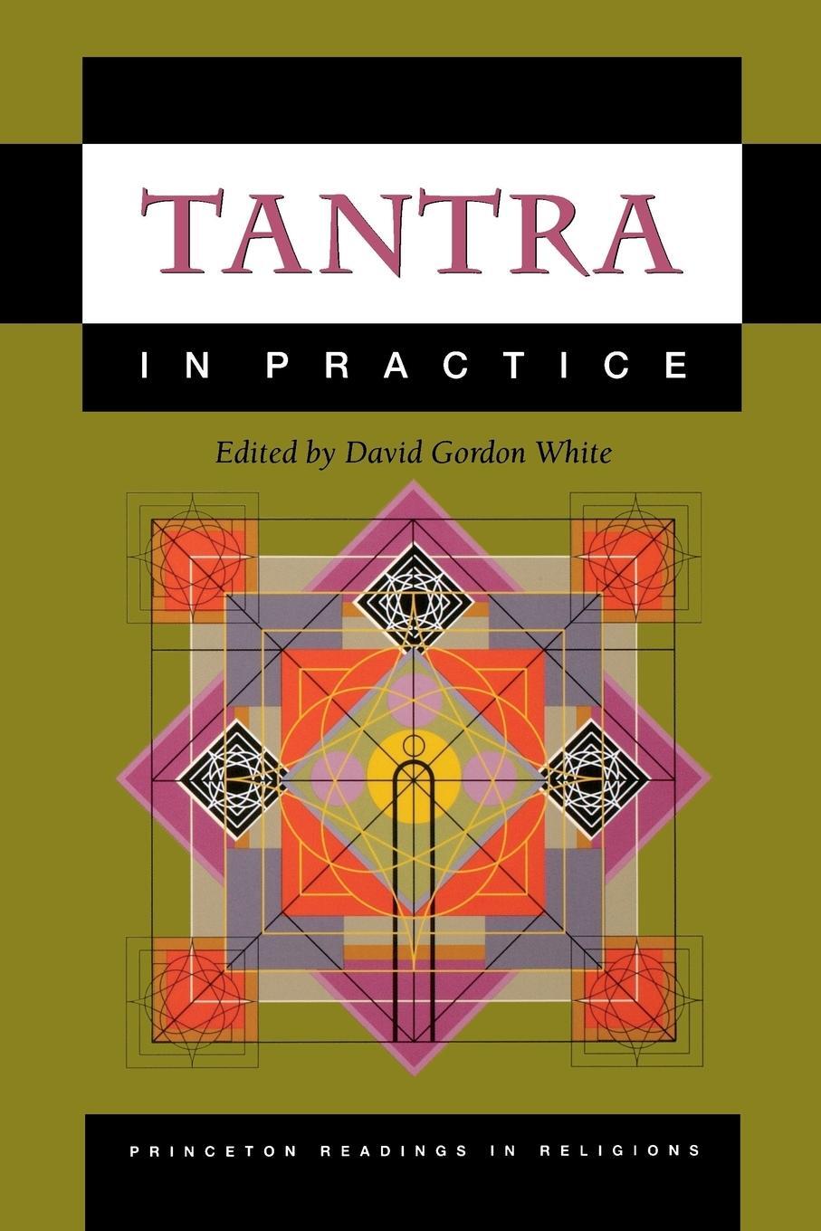 Cover: 9780691057798 | Tantra in Practice | David Gordon White | Taschenbuch | Paperback