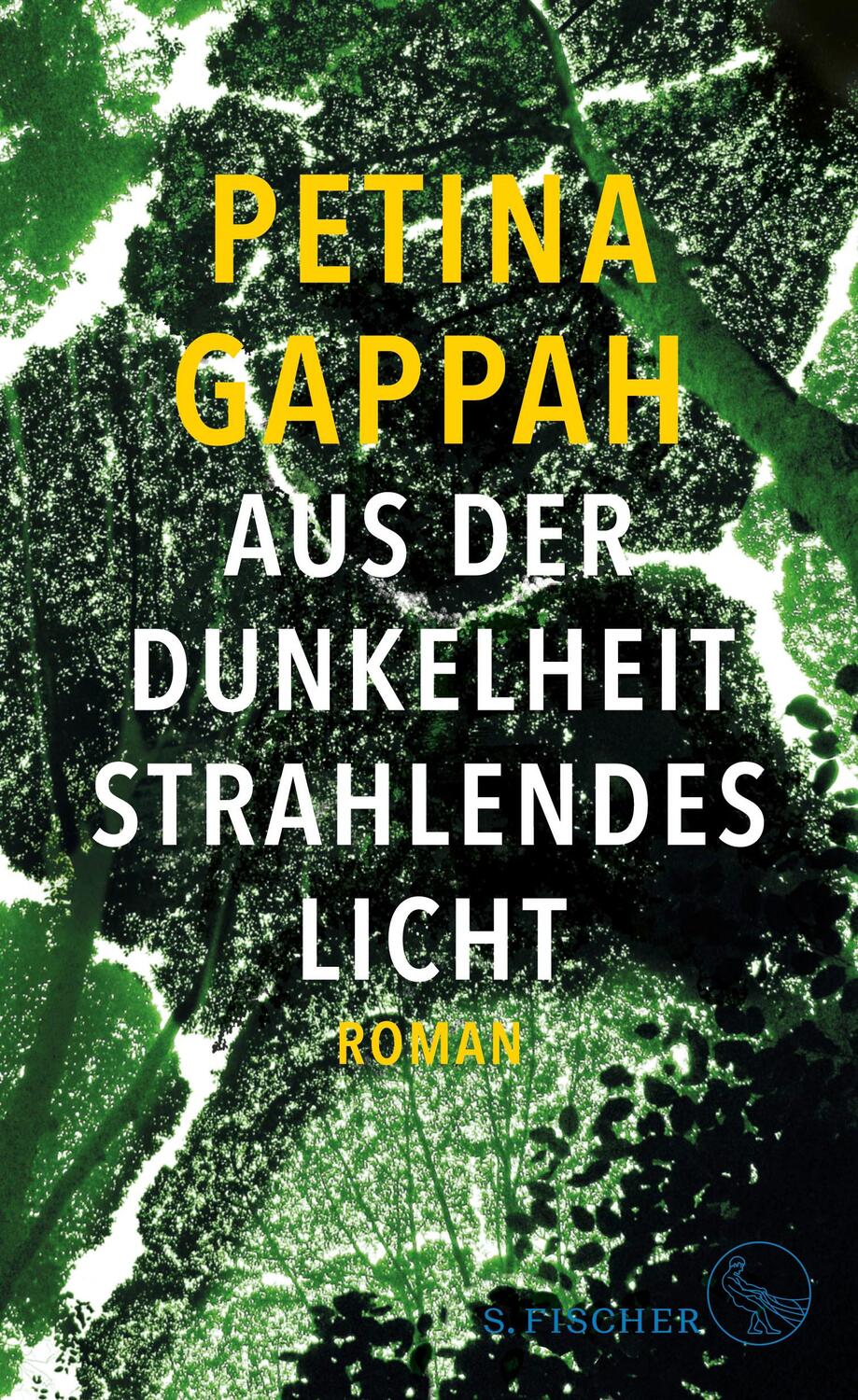 Cover: 9783103974492 | Aus der Dunkelheit strahlendes Licht | Roman | Petina Gappah | Buch