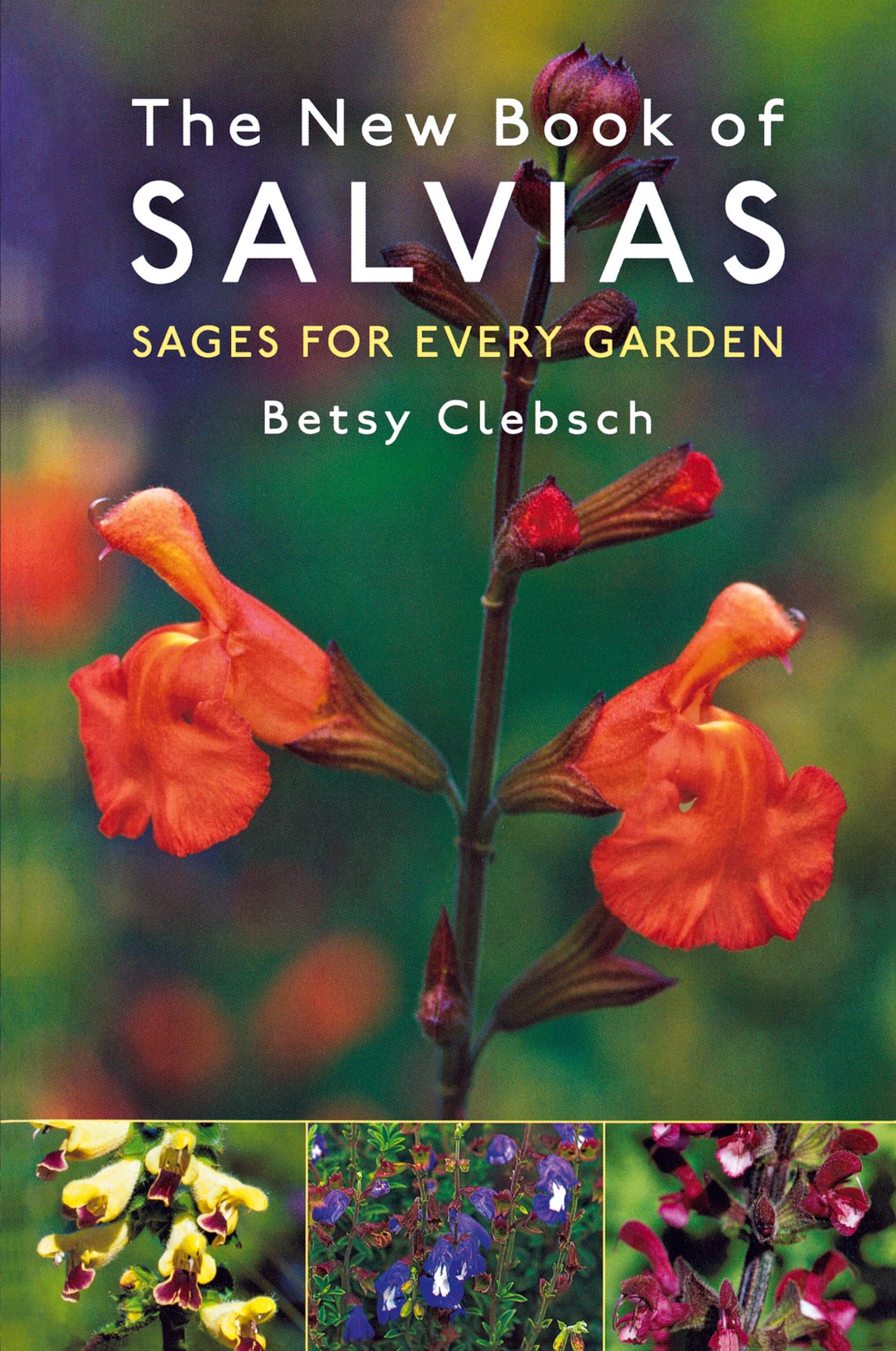 Cover: 9781604695106 | The New Book of Salvias | Sages for Every Garden | Betsy Clebsch