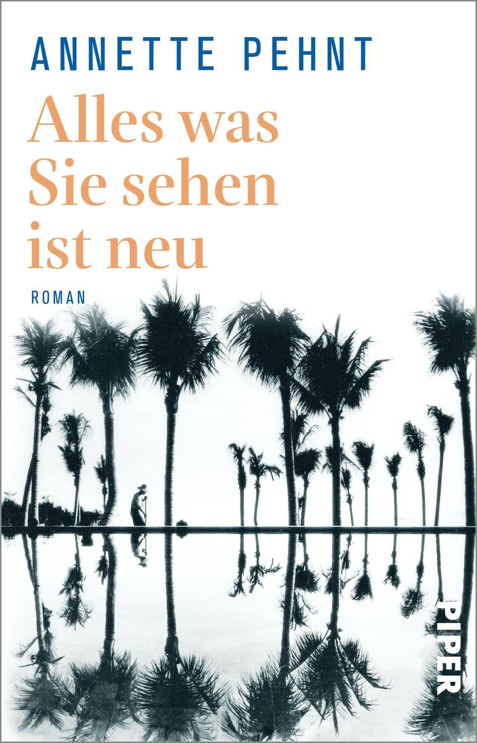 Cover: 9783492319645 | Alles was Sie sehen ist neu | Annette Pehnt | Taschenbuch | Deutsch