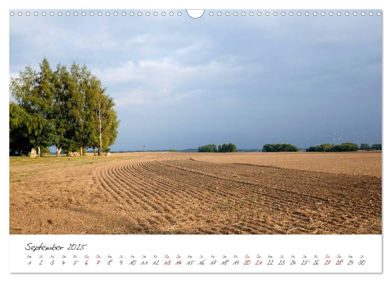 Bild: 9783435417704 | Osteeinsel Poel (Wandkalender 2025 DIN A3 quer), CALVENDO...