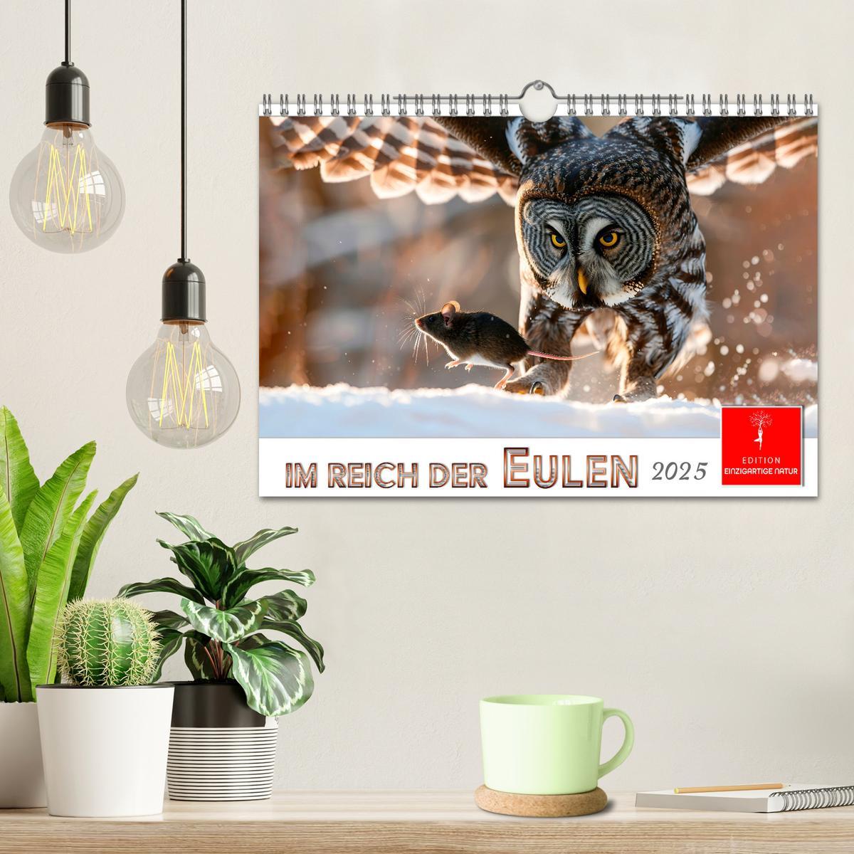 Bild: 9783457232651 | Im Reich der Eulen (Wandkalender 2025 DIN A4 quer), CALVENDO...