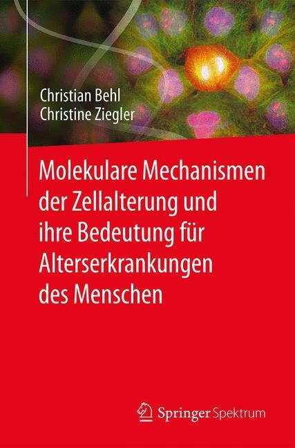 Cover: 9783662482490 | Molekulare Mechanismen der Zellalterung und ihre Bedeutung für...