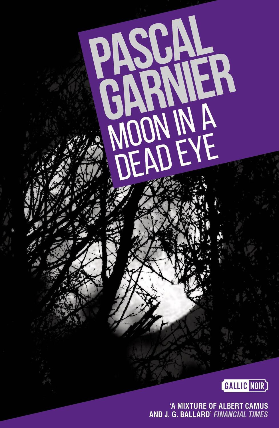 Cover: 9781908313492 | Moon in a Dead Eye | Pascal Garnier | Taschenbuch | Englisch | 2013
