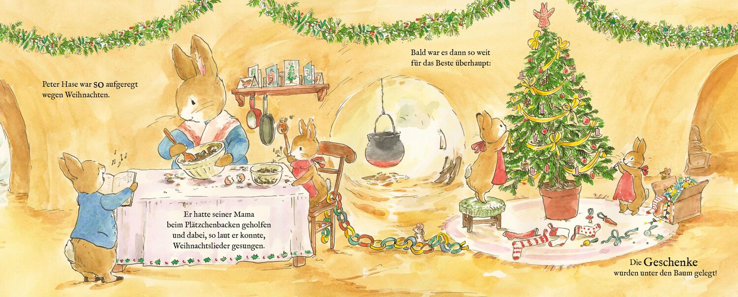 Bild: 9783737359535 | Peter Hase Das große Weihnachtsfest | Beatrix Potter | Buch | 24 S.