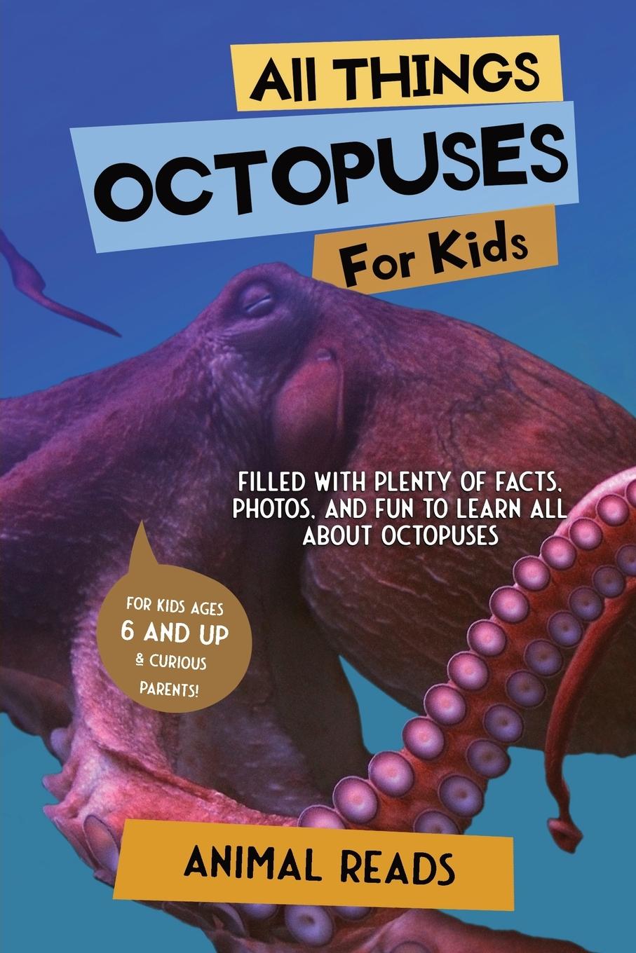 Cover: 9783967721379 | All Things Octopuses For Kids | Animal Reads | Taschenbuch | Englisch