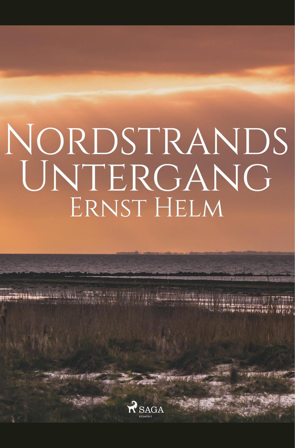 Cover: 9788726152173 | Nordstrands Untergang | Ernst Helm | Taschenbuch | Paperback | Deutsch