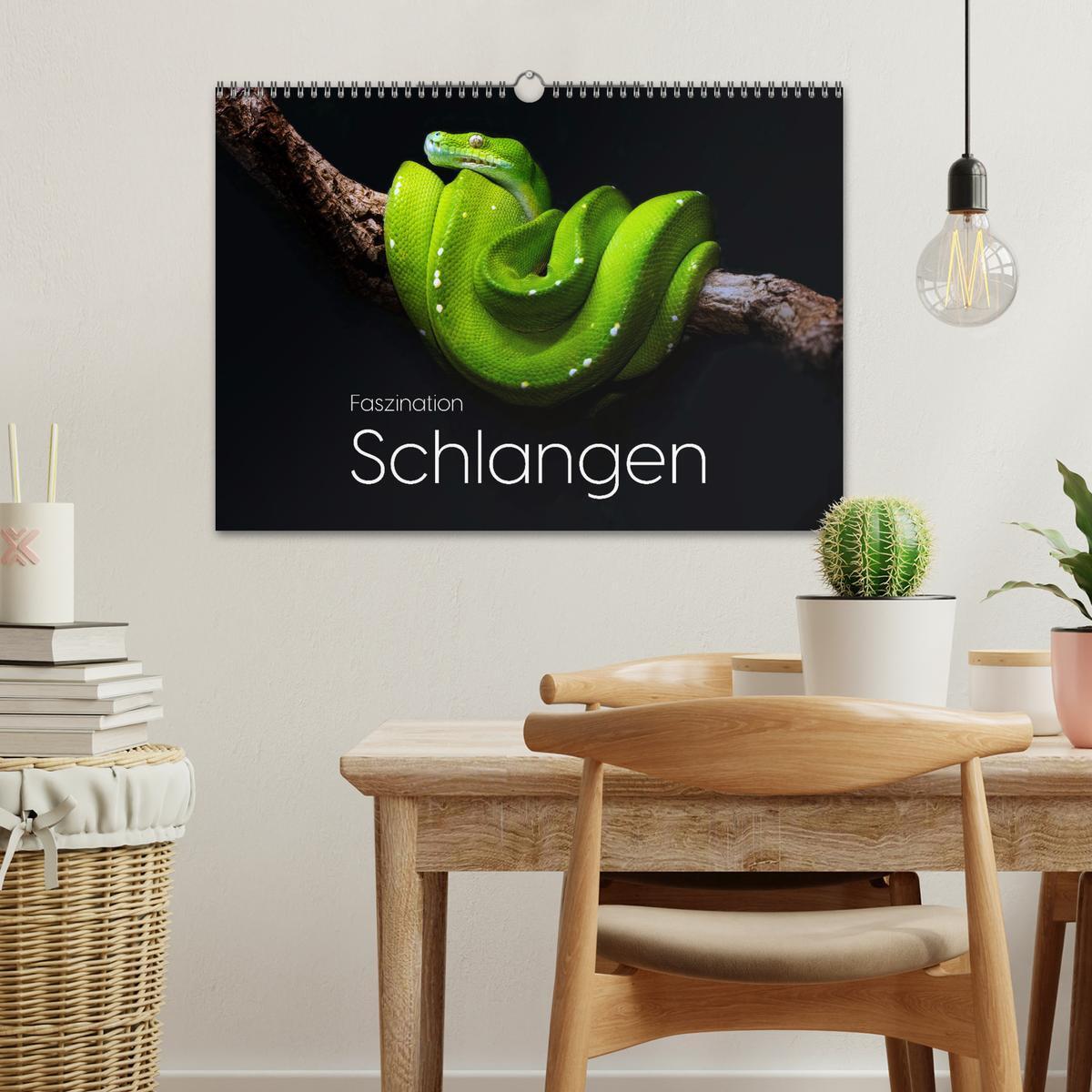 Bild: 9783457182642 | Faszination Schlangen (Wandkalender 2025 DIN A3 quer), CALVENDO...