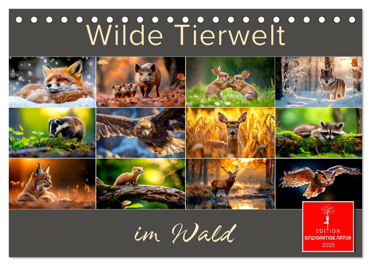 Cover: 9783457212998 | Wilde Tierwelt im Wald (Tischkalender 2025 DIN A5 quer), CALVENDO...