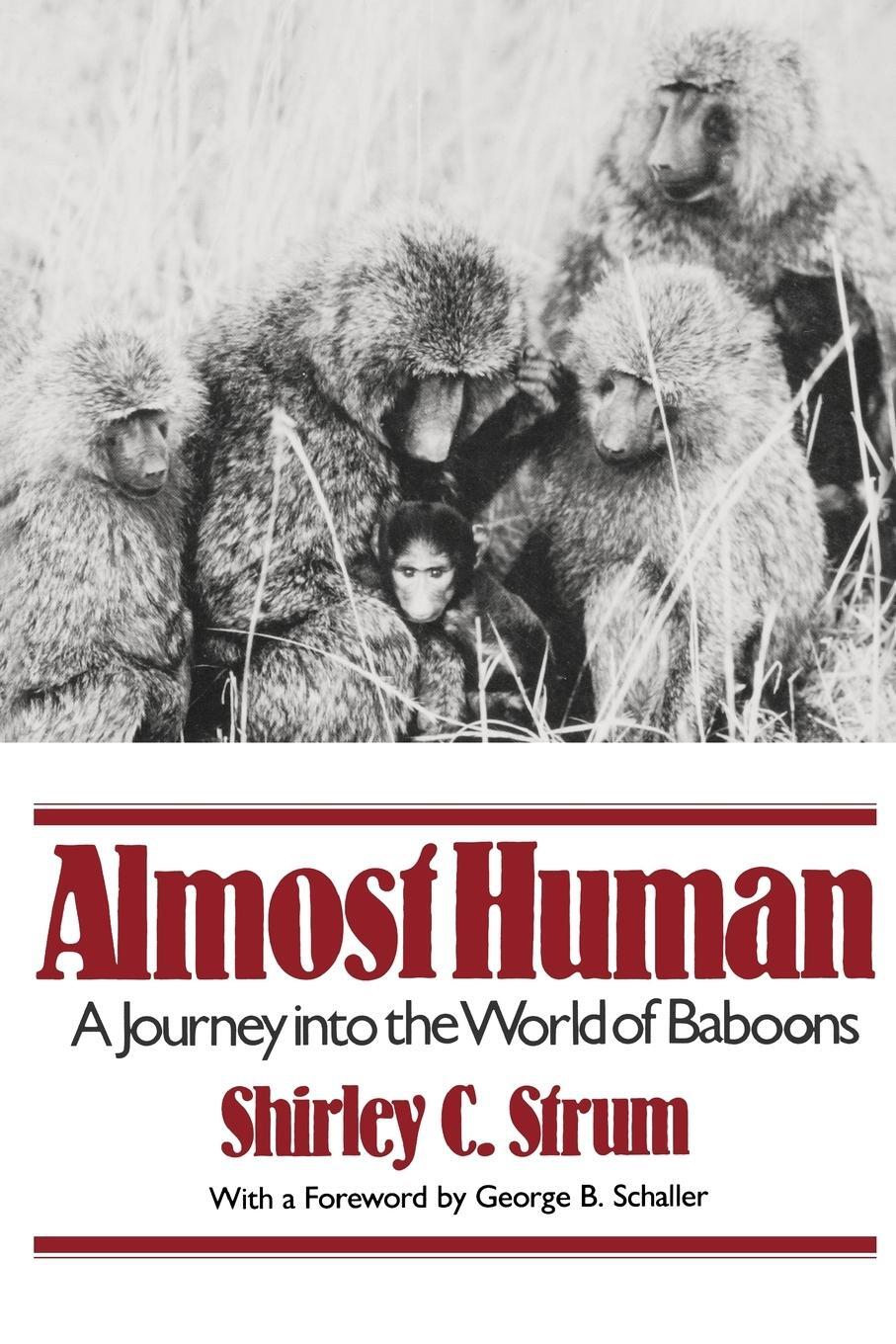 Cover: 9780393307085 | Almost Human | A Journey Into the World of Baboons | Shirley C. Strum