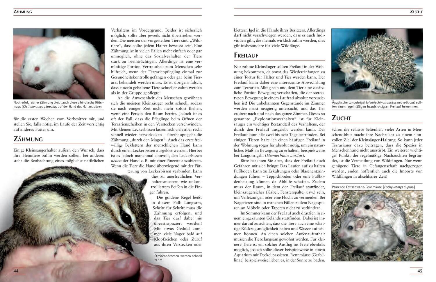 Bild: 9783866594982 | Kleinsäuger im Terrarium | Biologie - Haltung - Zucht | Ehrlich | Buch