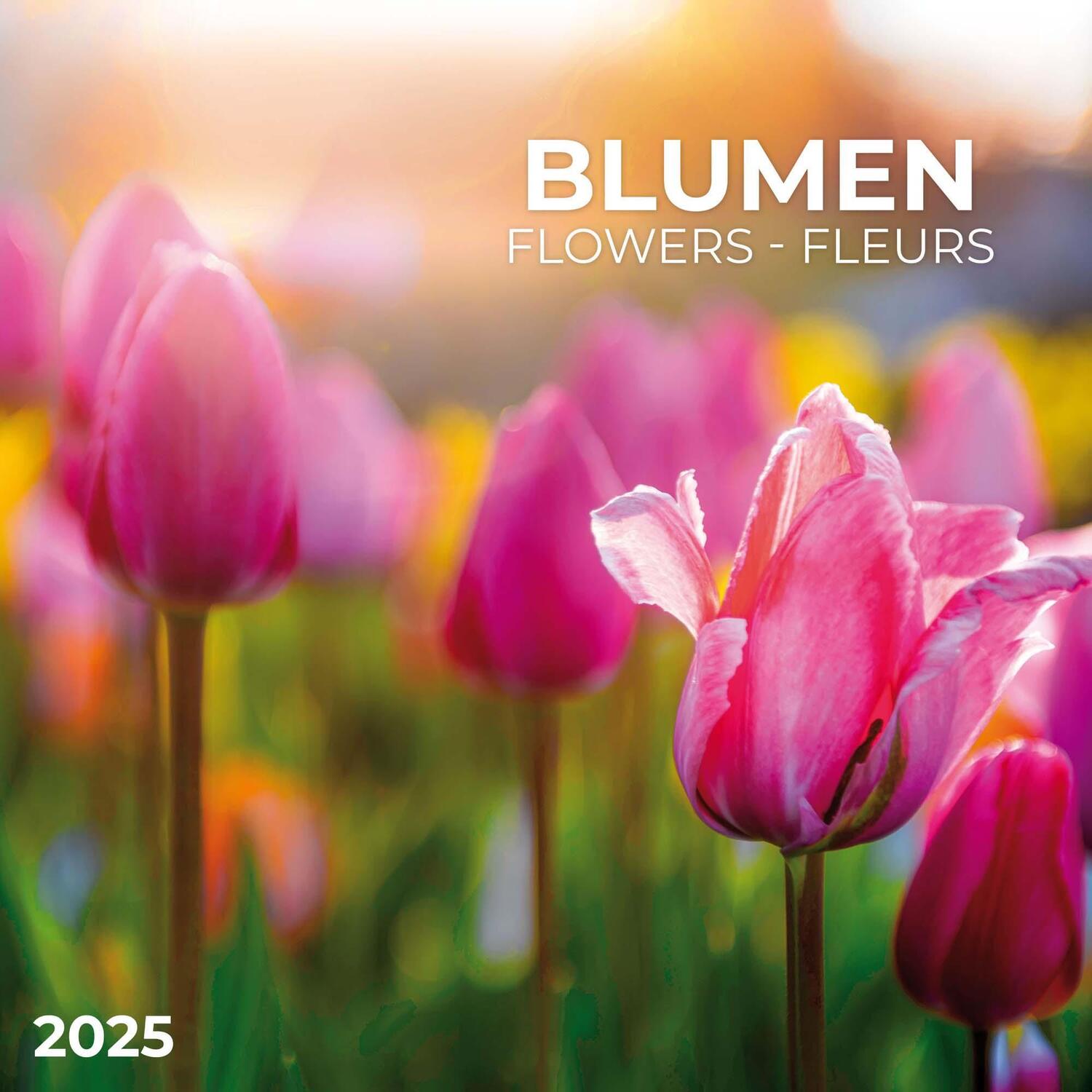 Cover: 9783959294706 | Blumen 2025 | Kalender 2025 | Kalender | Artwork Edition | 28 S.