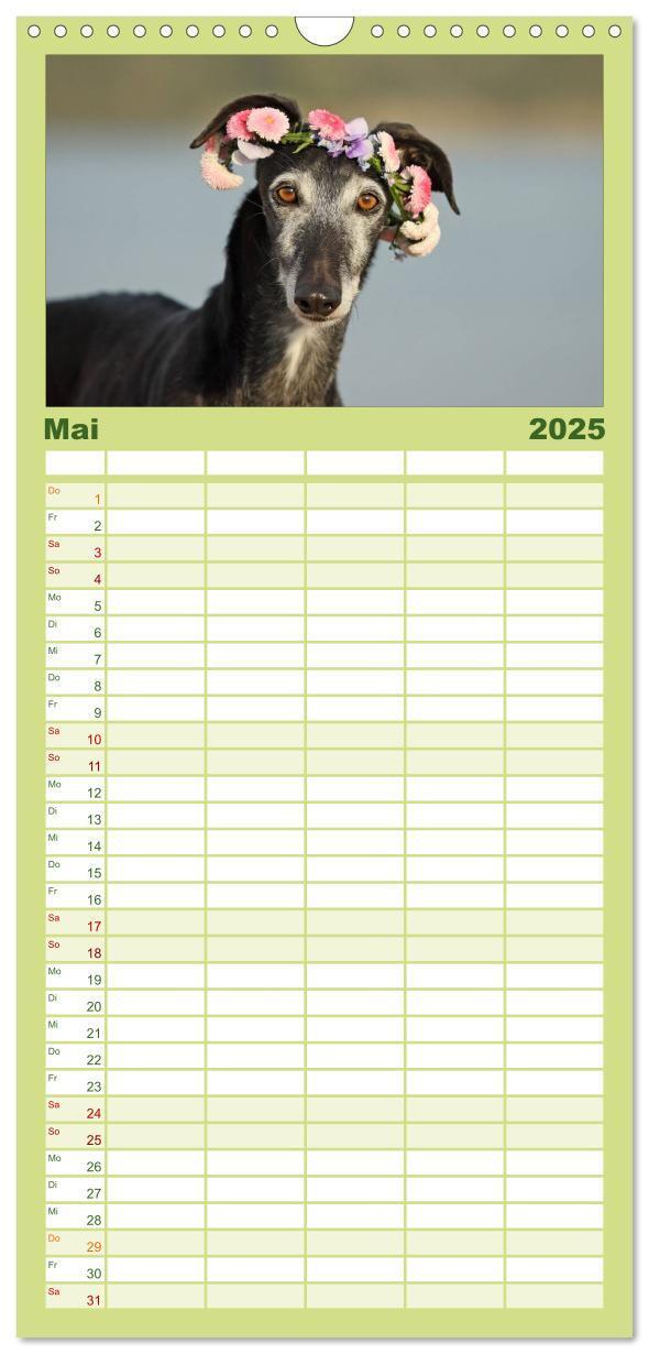 Bild: 9783457112526 | Familienplaner 2025 - Der Windhundekalender mit 5 Spalten...