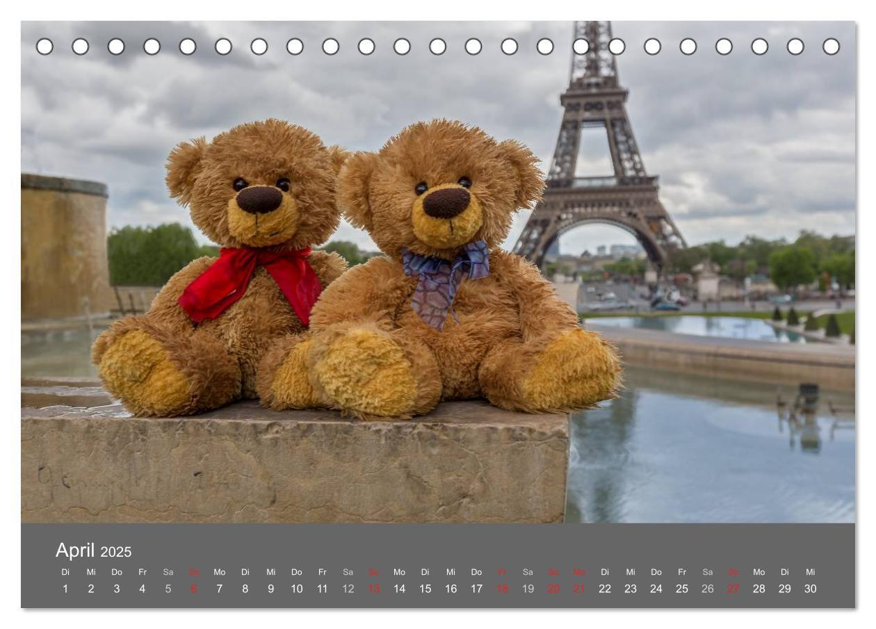 Bild: 9783435502172 | Travelling Teddy 2025 (Tischkalender 2025 DIN A5 quer), CALVENDO...