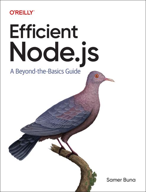 Cover: 9781098145194 | Efficient Node.js | A Beyond the Basics Guide | Samer Buna | Buch