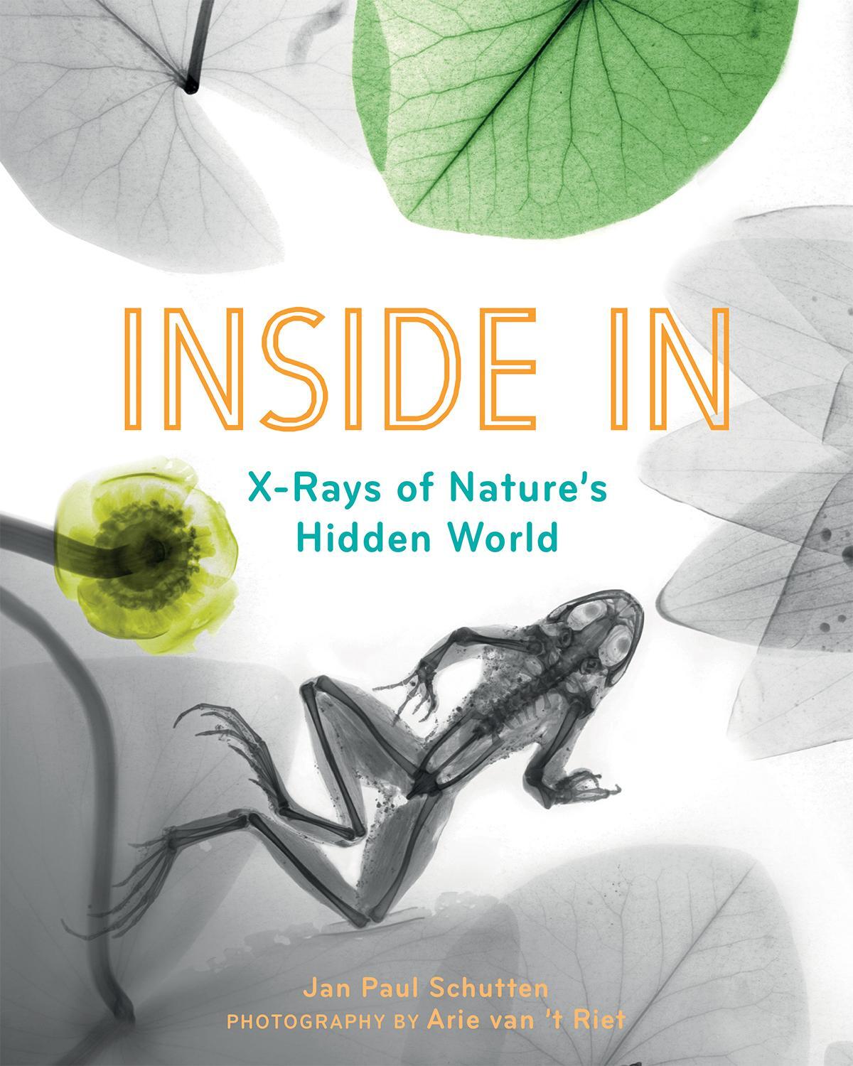 Cover: 9781771646819 | Inside In | X-Rays of Nature's Hidden World | Jan Paul Schutten | Buch
