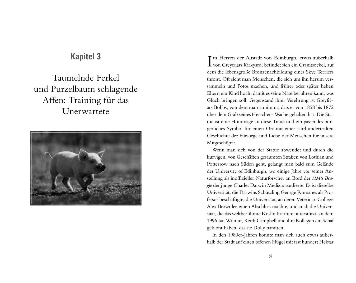 Bild: 9783442317745 | Das faszinierende Spiel der Tiere | David Toomey | Buch | 320 S.