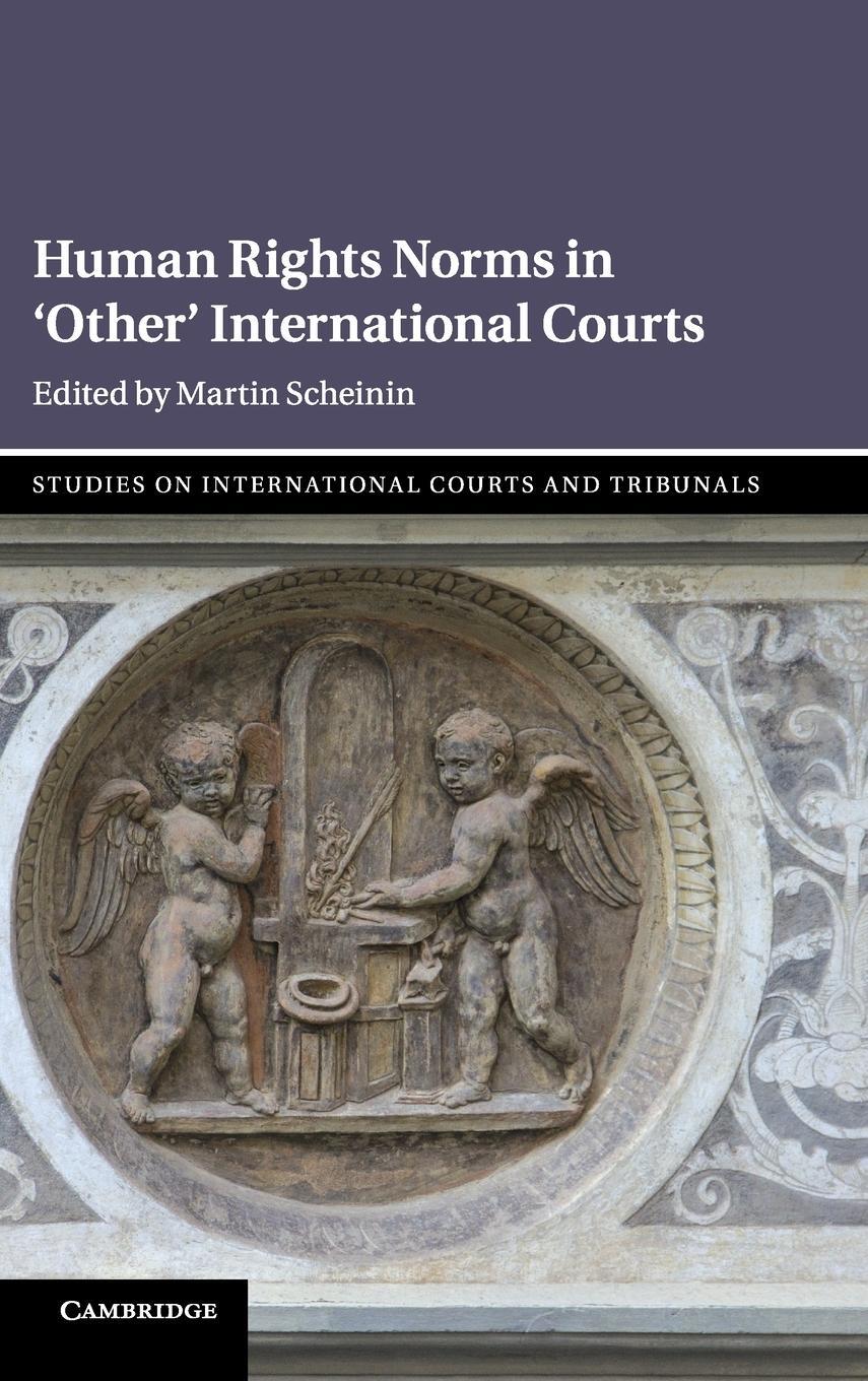 Cover: 9781108499736 | Human Rights Norms in 'Other' International Courts | Martin Scheinin
