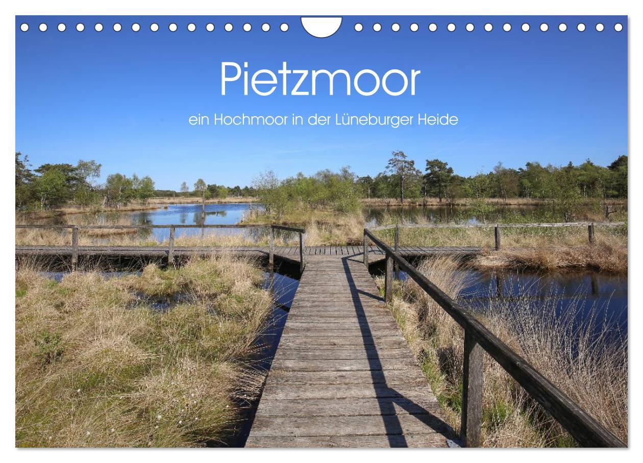 Cover: 9783435465200 | Pietzmoor - ein Hochmoor in der Lüneburger Heide (Wandkalender 2025...