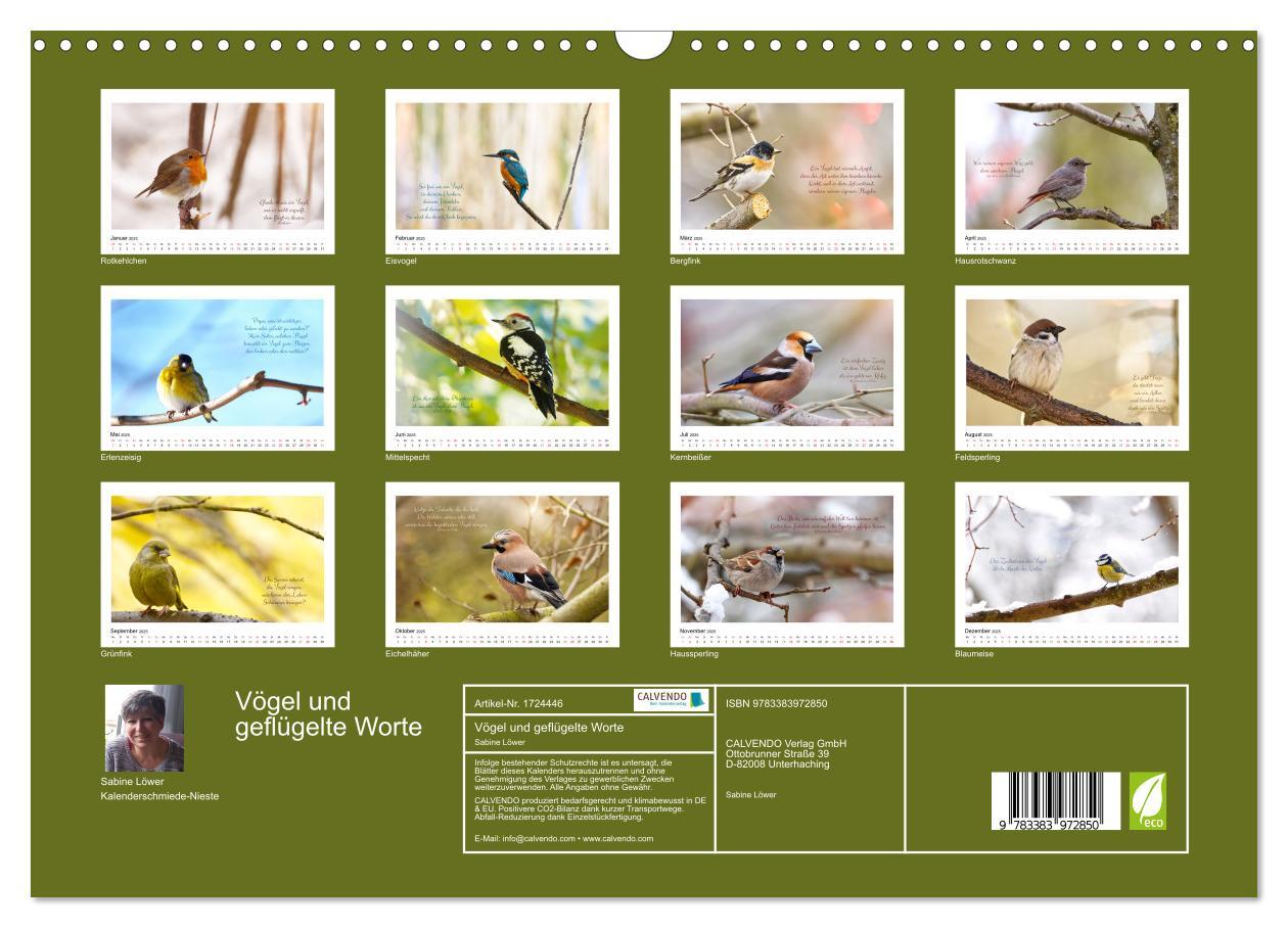 Bild: 9783383972850 | Vögel und geflügelte Worte (Wandkalender 2025 DIN A3 quer),...