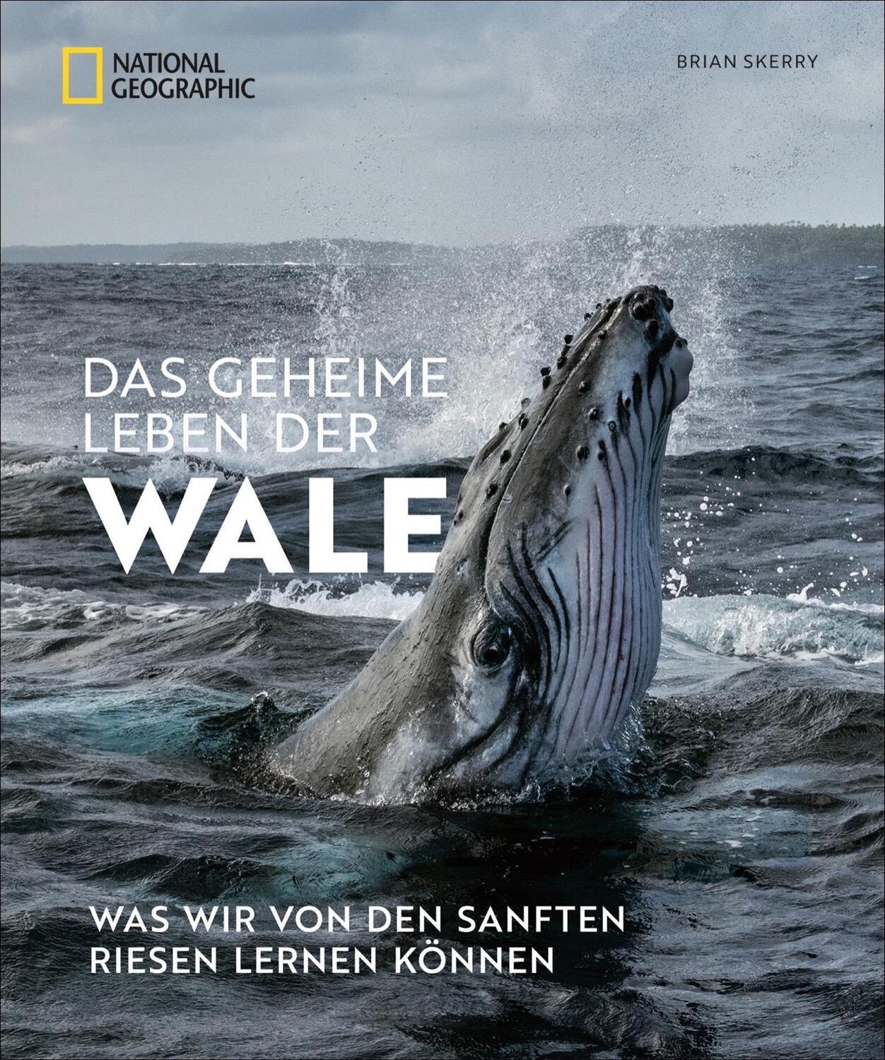 Cover: 9783866907621 | Das geheime Leben der Wale | Brian Skerry | Buch | 192 S. | Deutsch