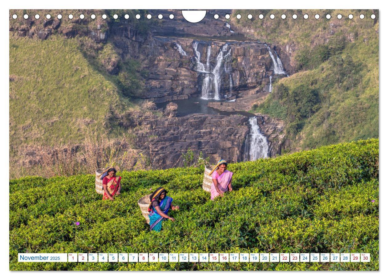 Bild: 9781325945801 | Sri Lanka (Wall Calendar 2025 DIN A4 landscape), CALVENDO 12 Month...