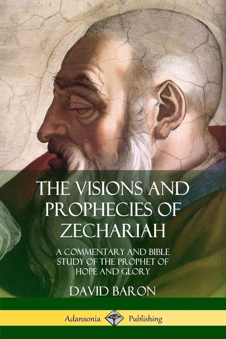 Cover: 9780359033966 | The Visions and Prophecies of Zechariah | David Baron | Taschenbuch