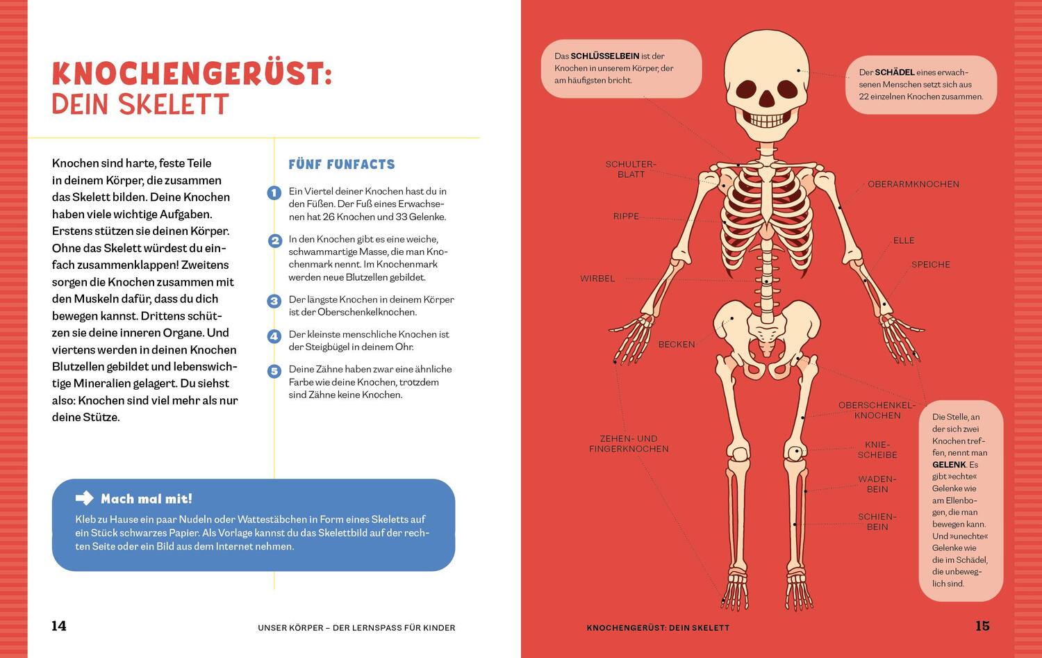 Bild: 9783969050699 | Unser Körper | Anatomie-Malbuch. Der Lern- und Malspaß für Kinder ab 3