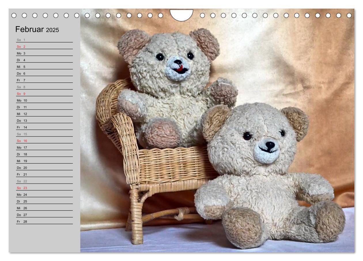 Bild: 9783435496068 | TEDDYBÄR, OH TEDDYBÄR... (Wandkalender 2025 DIN A4 quer), CALVENDO...