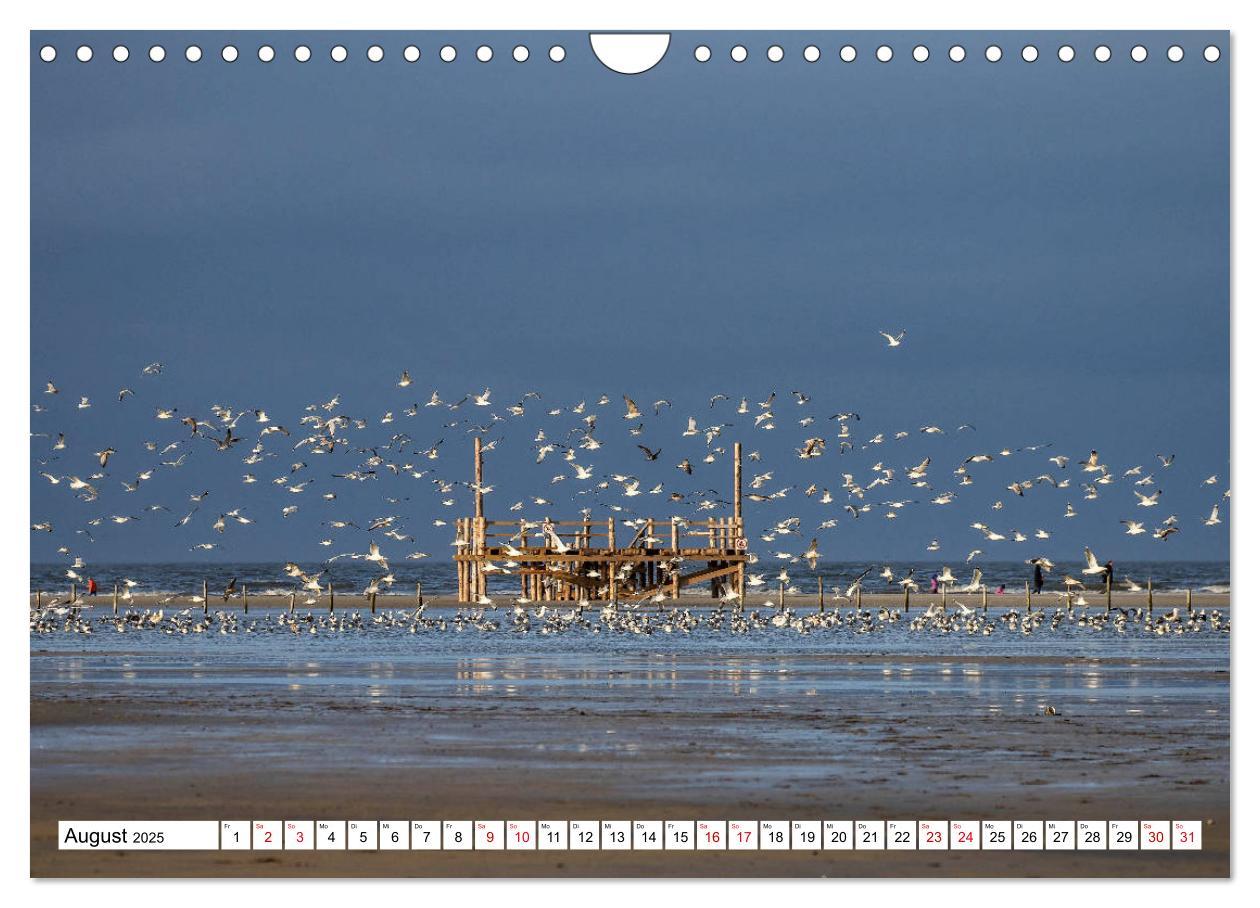 Bild: 9783435384303 | Impressionen aus Sankt Peter-Ording (Wandkalender 2025 DIN A4...