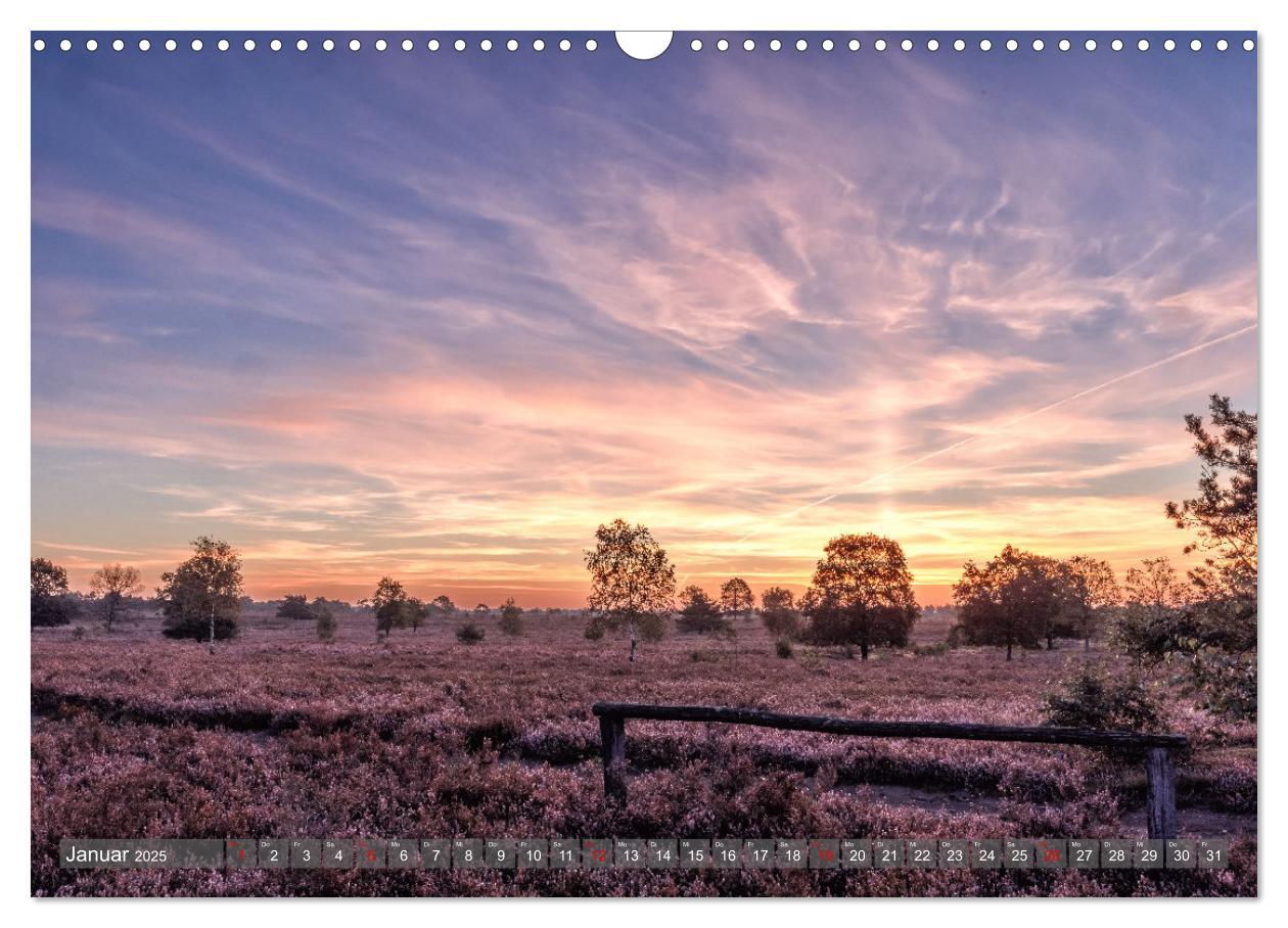 Bild: 9783383851728 | Die Lüneburger Heide - In voller Blüte (Wandkalender 2025 DIN A3...