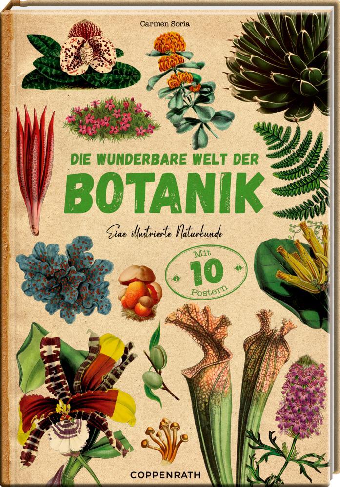 Cover: 9783649643784 | Die wunderbare Welt der Botanik | Eine illustrierte Naturkunde | Soria