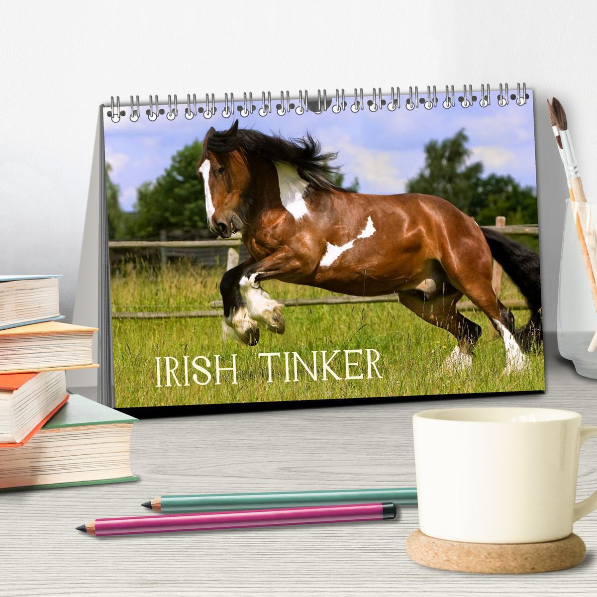 Bild: 9783435747139 | Irish Tinker (Tischkalender 2025 DIN A5 quer), CALVENDO Monatskalender