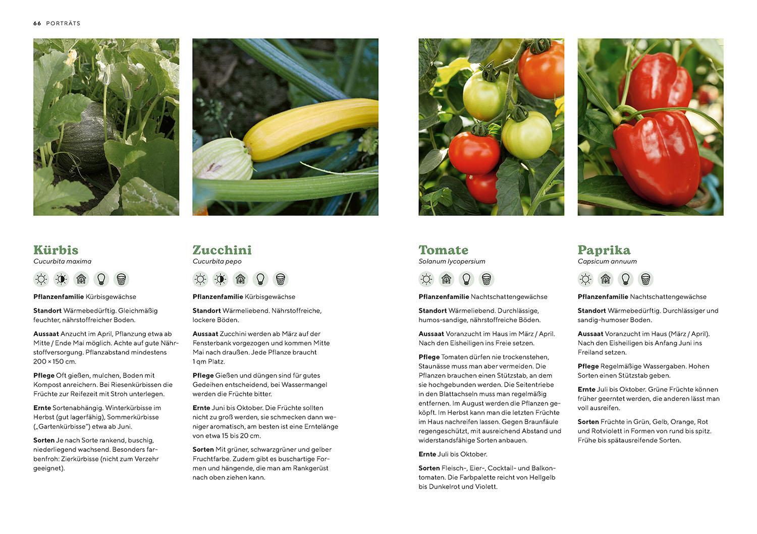 Bild: 9783440176504 | Biogärtnern | Ernte dein eigenes Gemüse | Peter Berg | Taschenbuch