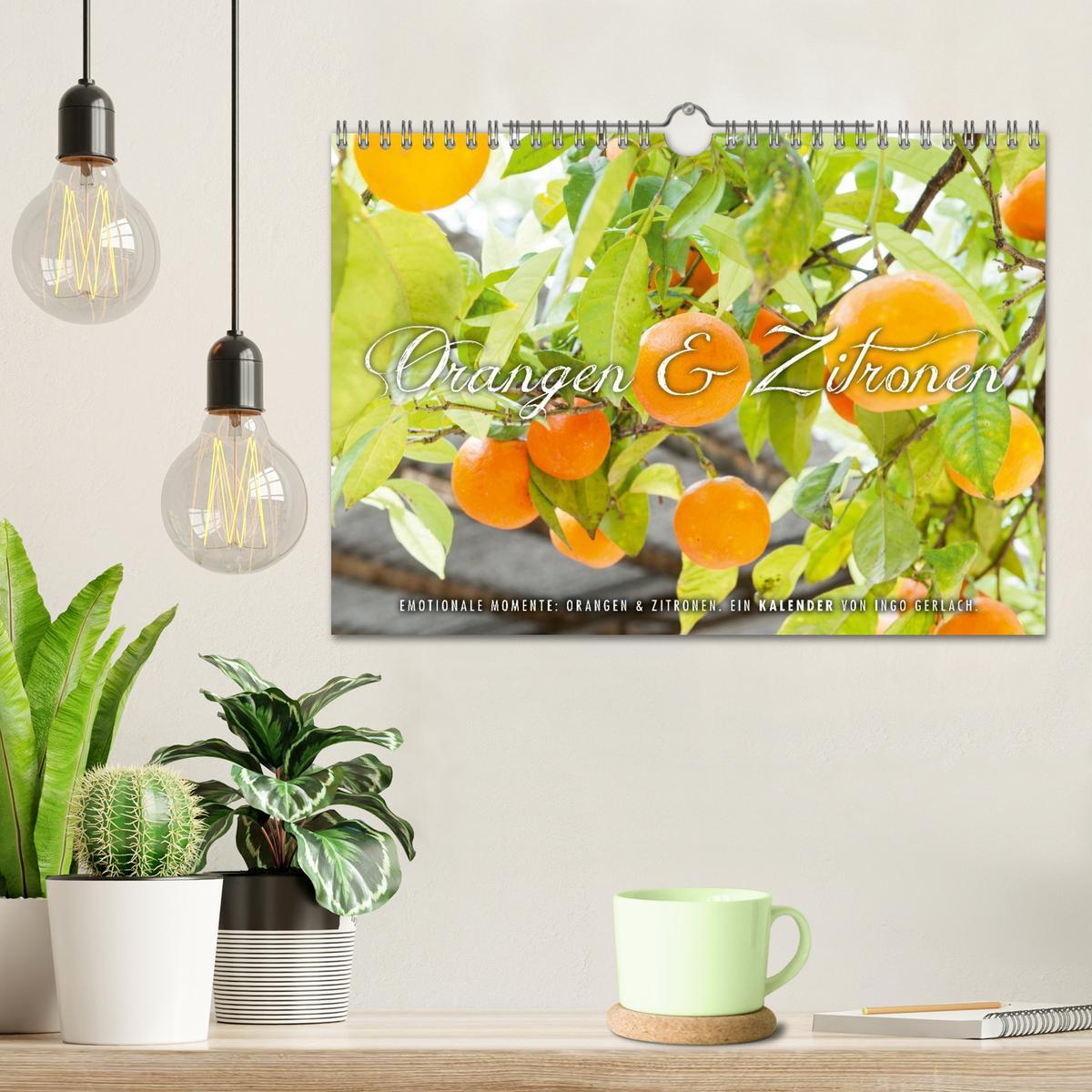 Bild: 9783435733231 | Emotionale Momente: Orangen &amp; Zitronen. (Wandkalender 2025 DIN A4...