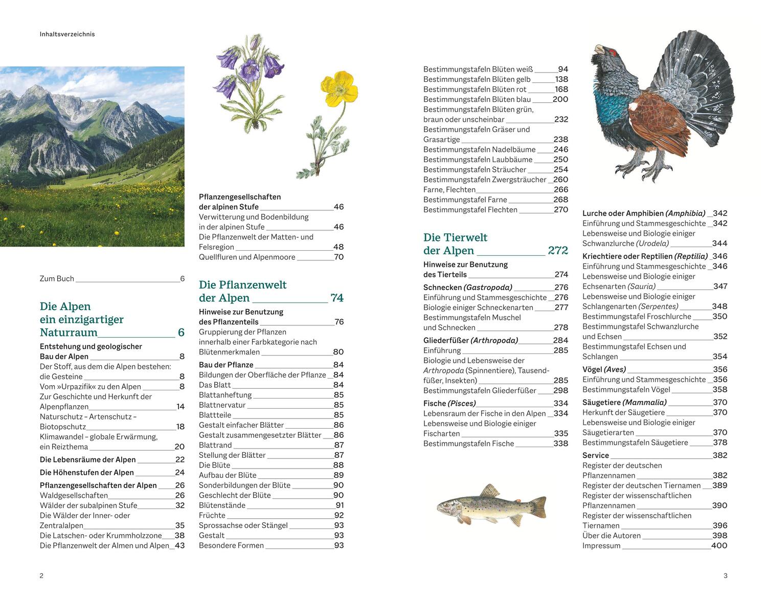 Bild: 9783967470604 | Der illustrierte Naturführer Alpen | Thomas Schauer (u. a.) | Buch