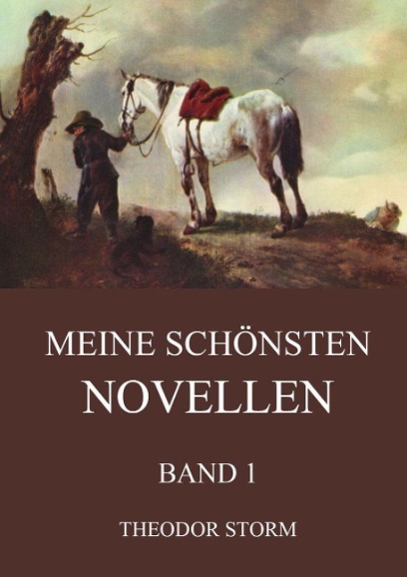 Cover: 9783849690571 | Meine schönsten Novellen, Band 1 | Theodor Storm | Taschenbuch