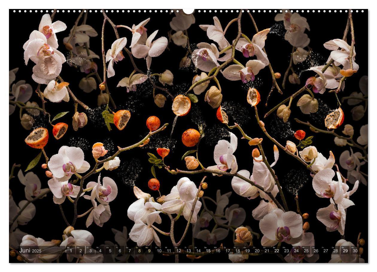 Bild: 9783383853258 | Orchidea (Wandkalender 2025 DIN A2 quer), CALVENDO Monatskalender