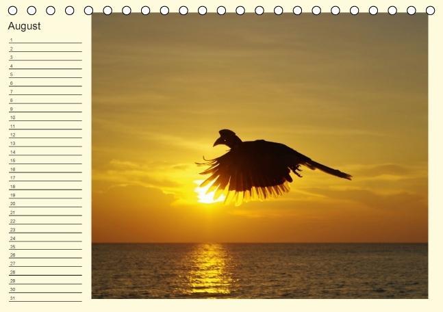 Bild: 9783660470468 | Colours by the sea / Birthday Calendar / UK-Version (Table Calendar...