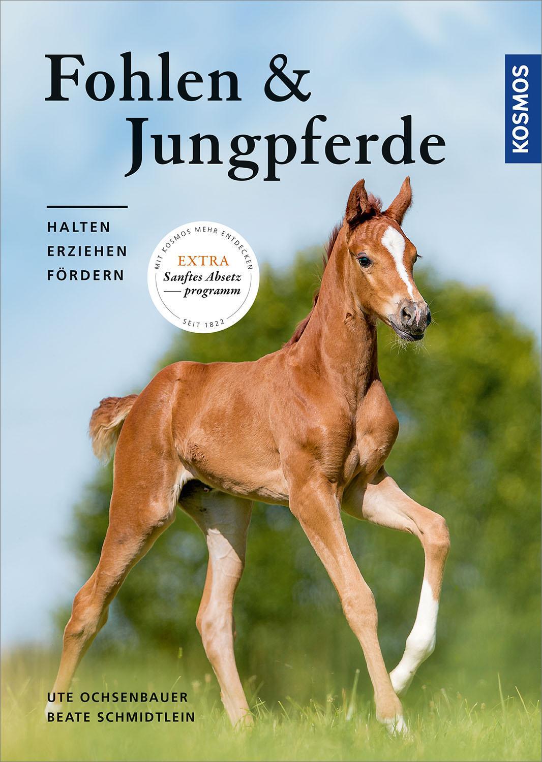 Cover: 9783440162156 | Fohlen und Jungpferde | halten, erziehen, fördern | Buch | Deutsch