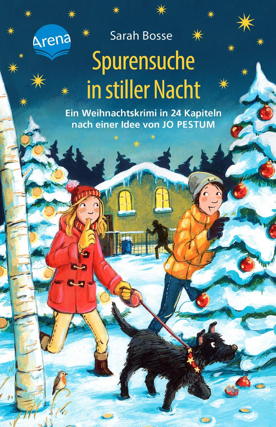 Cover: 9783401607290 | Spurensuche in stiller Nacht. Ein Weihnachtskrimi in 24 Kapiteln...