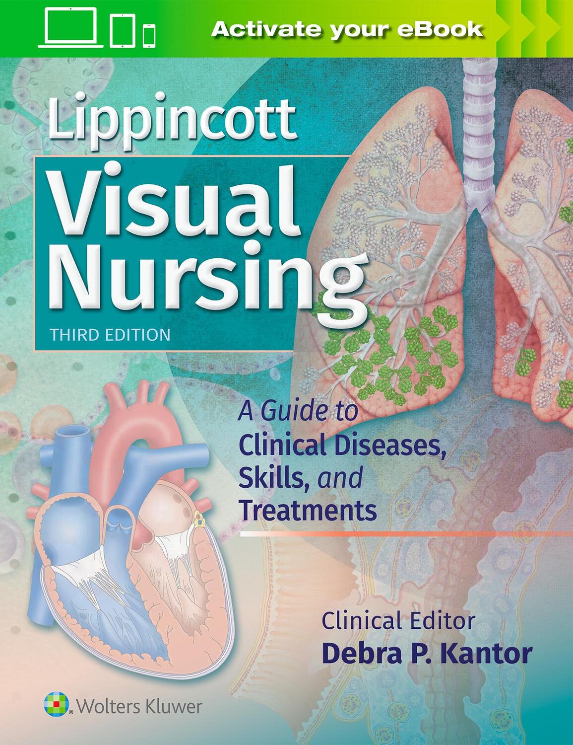 Cover: 9781496381781 | Lippincott Visual Nursing | Lippincott Williams & Wilkins | Buch